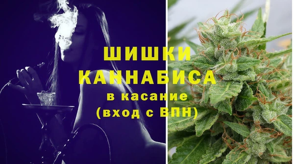 СК Белокуриха
