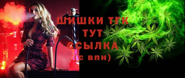 СК Белокуриха