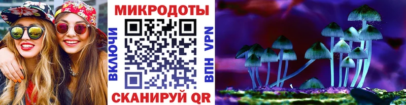MEGA ССЫЛКА  Павловск  Псилоцибиновые грибы мицелий 